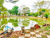 listing thumbnail image 5