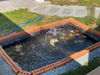 listing thumbnail image 14