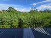 listing thumbnail image 25