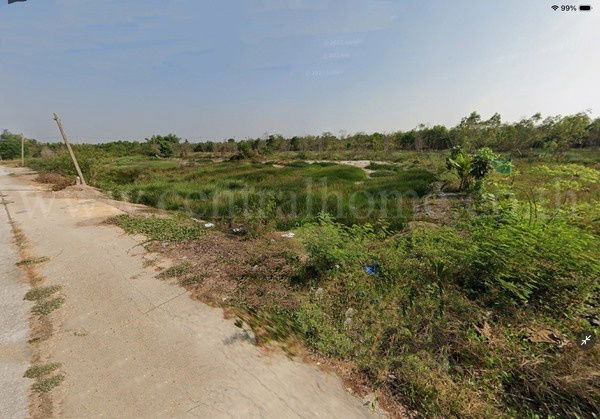 รูป ที่ดินเปล่า 156.7 ตร.วา ถมแล้ว บัวปากท่า บางเลน - นครปฐม  - รูปที่ 3/4