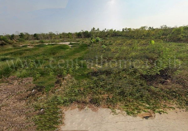 รูป ที่ดินเปล่า 156.7 ตร.วา ถมแล้ว บัวปากท่า บางเลน - นครปฐม  - รูปที่ 4/4