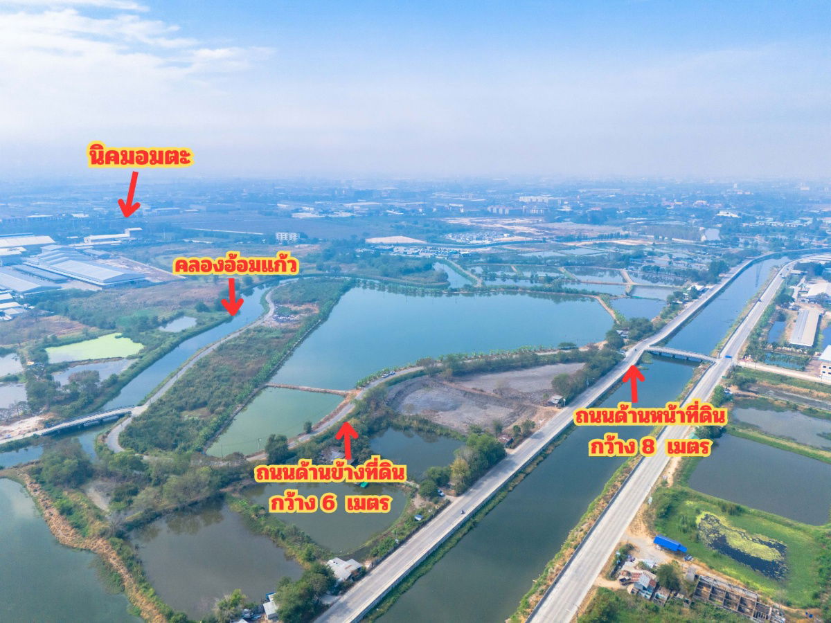 รูป ขายที่สีม่วง 46 ไร่ ใกล้ถนนเลียบมอเตอร์เวย์ สาย 7 ใกล้นิคมอมตะ ชลบุรี  ต.บางนาง อ.พานทอง จ.ชลบุรี - รูปที่ 5/7