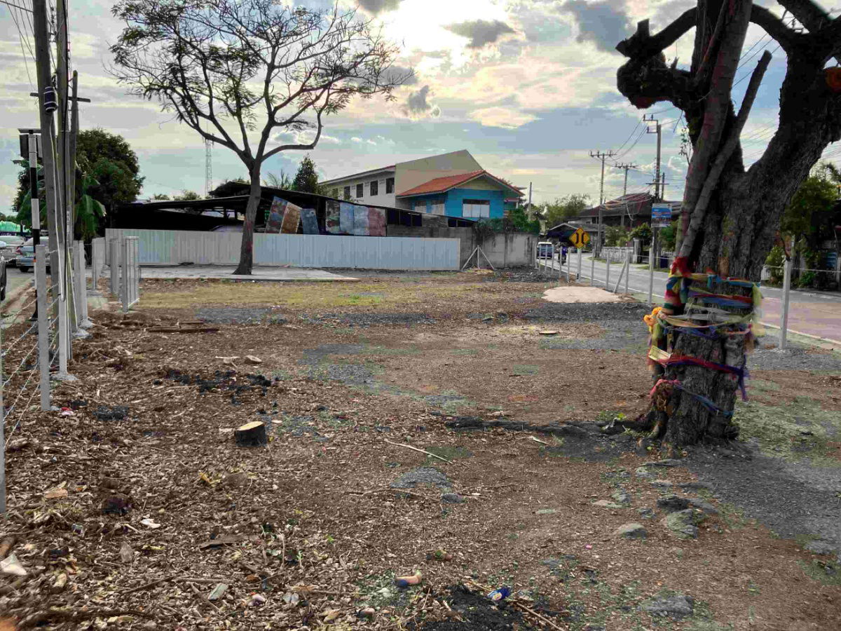 รูป ให้เช่าที่ดิน 160 ตรว. (หลังไทวัสดุ บางใหญ่) เหมาะทำธุรกิจ ร้านค้า ติดถนนเมน นบ.1011 ทั้ง 3 ด้าน รายล้อมด้วยหมู่บ้านขนาดใหญ่ - รูปที่ 7/8