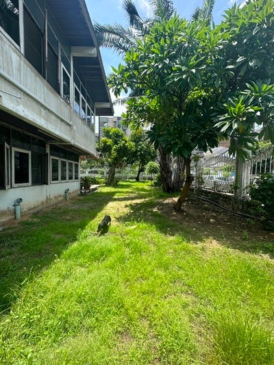 รูป ขายบ้าน ซอยสุขุมวิท 97/1 บางจาก พระโขนง - รูปที่ 7/9