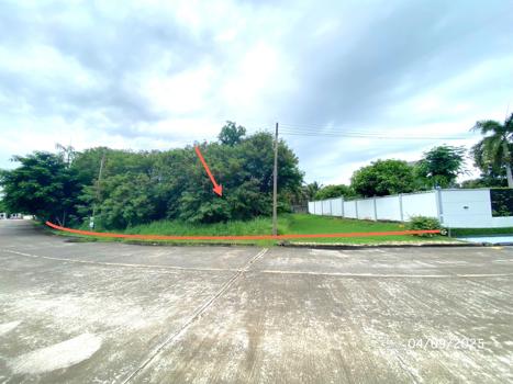 รูป ที่ดินว่างเปล่า สำหรับขาย กฤษดา ซิตี้ กอล์ฟ ฮิลล์ โครงการ 26 นครชัยศรี นครชัยศรี นครปฐม - รูปที่ 11/14