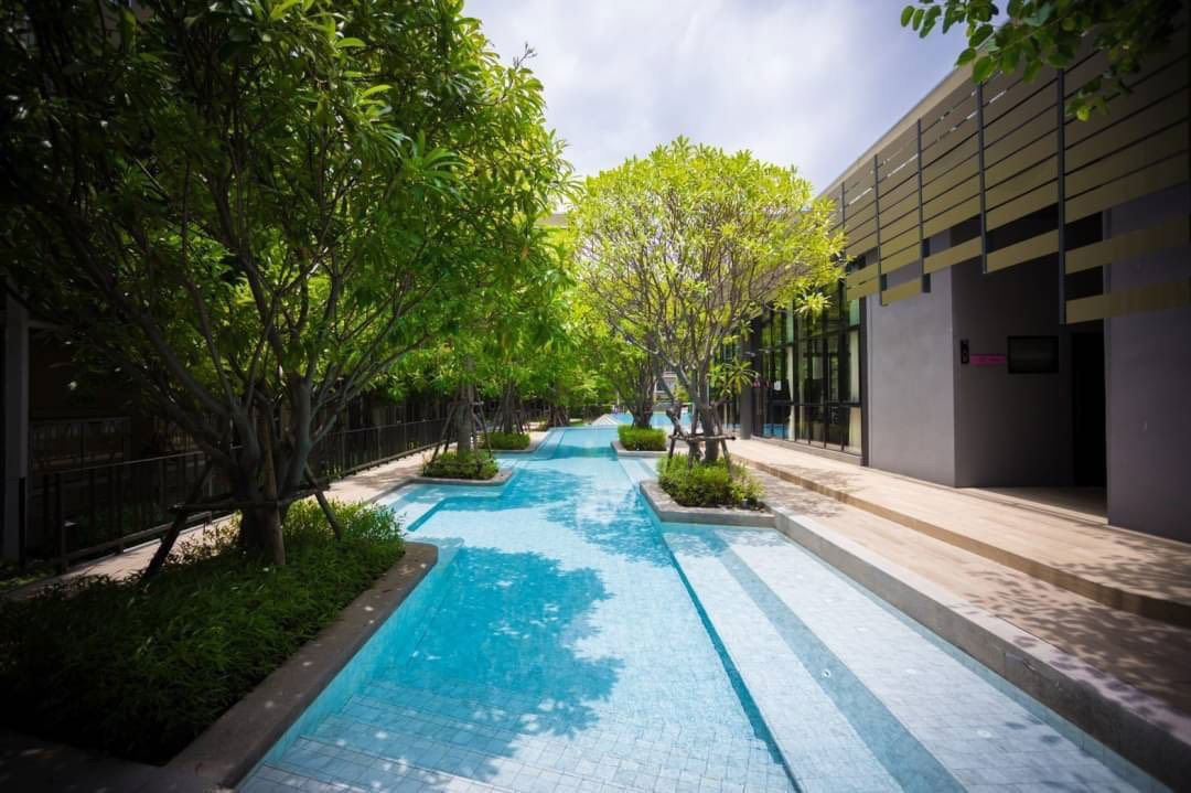 รูป 🏢 ให้เช่าคอนโด : PLUM CONDO RANGSIT ALIVE 2 (พลัม คอนโด รังสิต อไลฟ์ 2)   รหัสทรัพย์  | 📌LNP-C9736  - รูปที่ 3/9