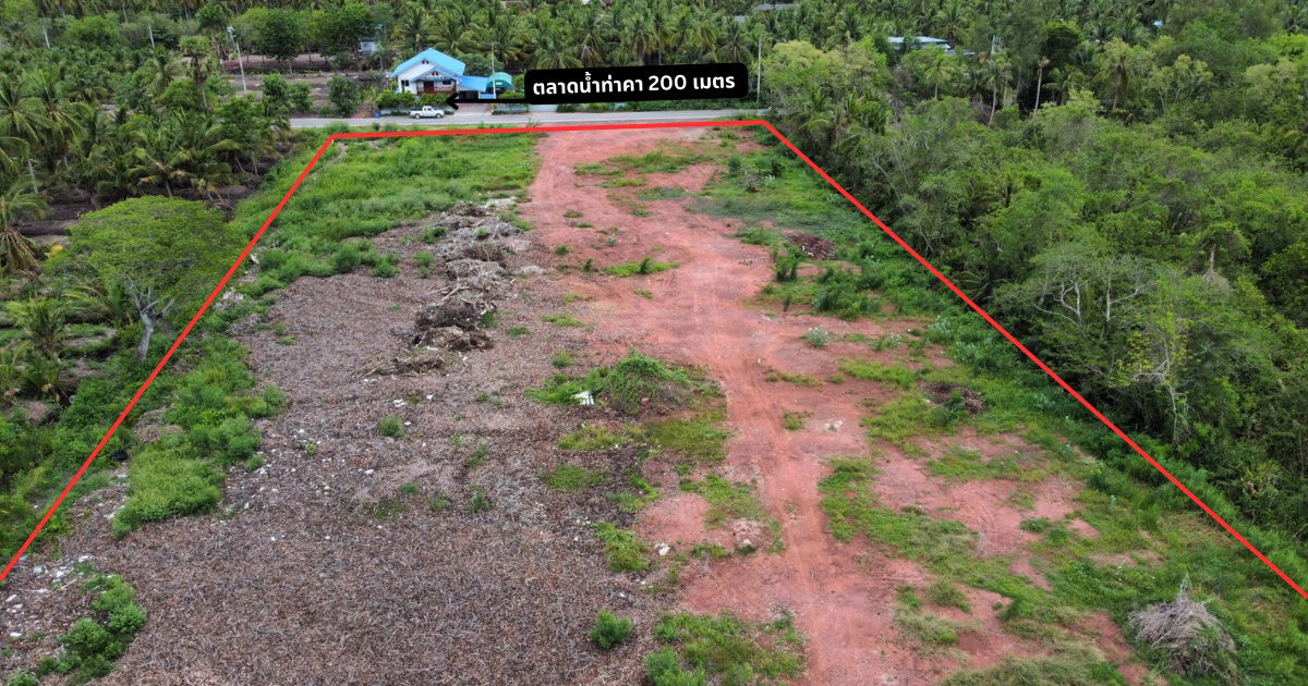 รูป ขายที่ดินใกล้ตลาดน้ำท่าคา 200เมตร แปลงสวยสี่เหลี่ยม หน้าติดถนนหลังติดคลอง - รูปที่ 2/5