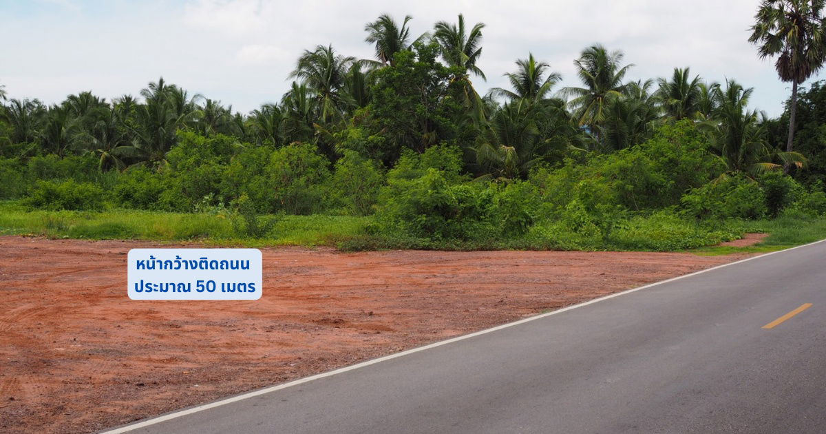 รูป ขายที่ดินใกล้ตลาดน้ำท่าคา 200เมตร แปลงสวยสี่เหลี่ยม หน้าติดถนนหลังติดคลอง - รูปที่ 3/5