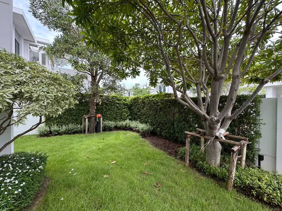 รูป ให้เช่าบ้านเดี่ยว Mantana Bangna Km.15  - รูปที่ 16/34