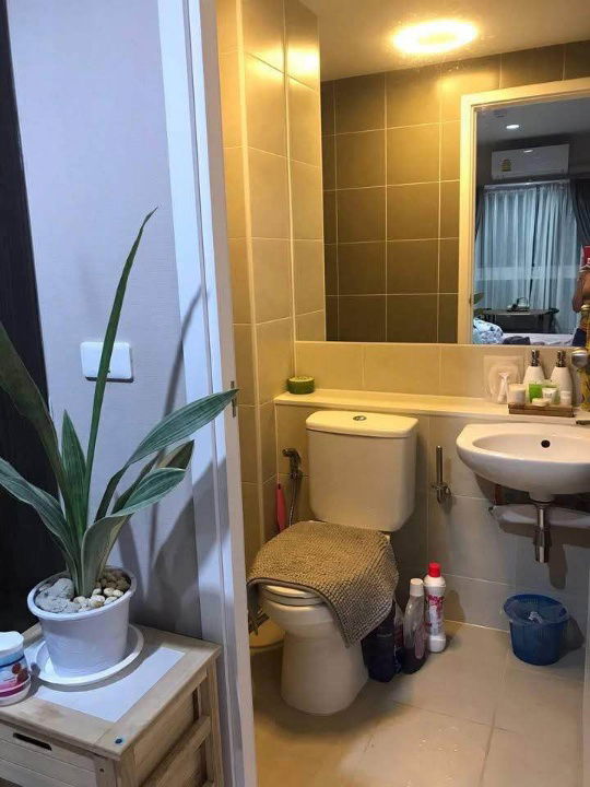 รูป 🌳🌳For rent Plum Condo Ramkhamhaeng Station 🌳🌳 ห้องสวย พร้อมอยู่ แต่งสวย จัดเต็ม มีหลายห้องให้เลือกชม ID LINE : @190evxgl - รูปที่ 3/7