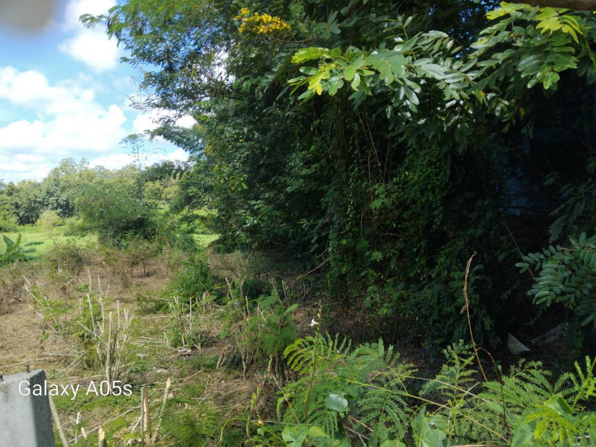 รูป ขายที่ดินทำเลดี กลางเมืองเชียงราย - รูปที่ 10/12