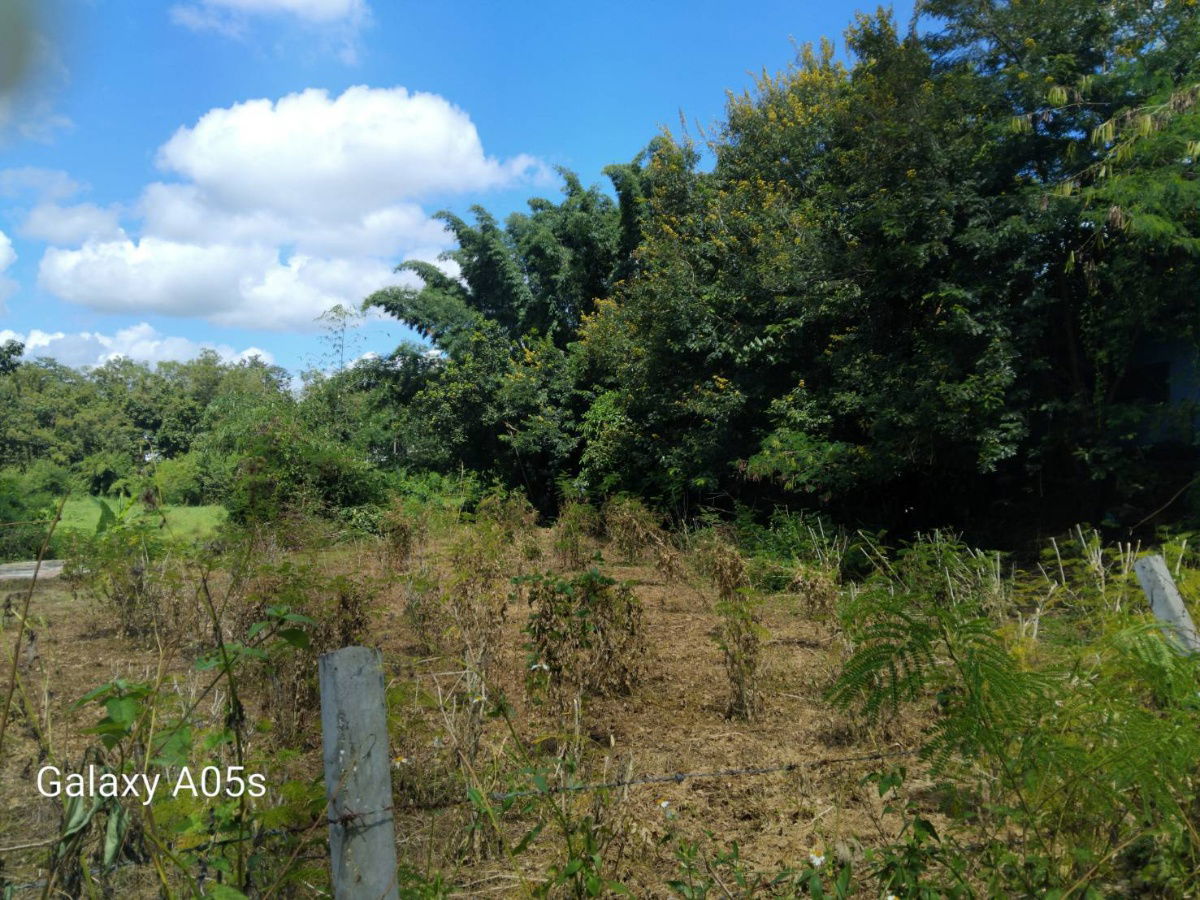 รูป ขายที่ดินทำเลดี กลางเมืองเชียงราย - รูปที่ 9/12