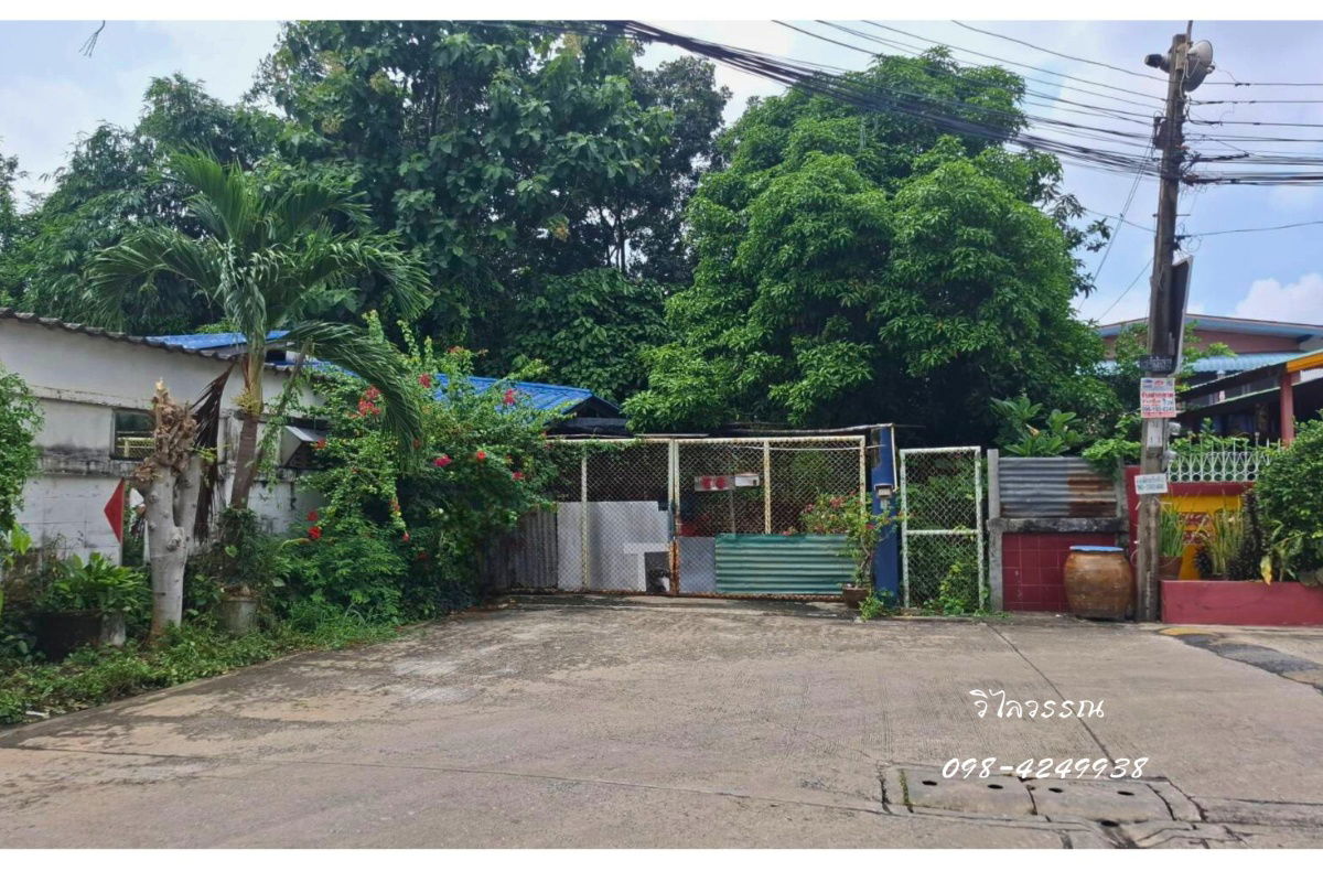 รูป ขายที่ดิน ถมแล้ว ซอยคู้บอน 40 เข้าซอย 240 ม. พร้อมไม้ยืนต้น เขตมีนบุรี กรุงเทพ   - รูปที่ 4/11