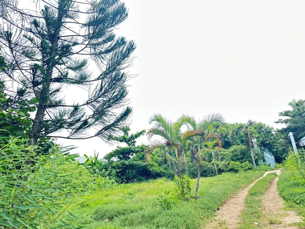 รูป ขายที่ดินริมชายหาด เกาะสมุย 5ไร่ 1 งาน 60.20 ตร.ว. ไร่ละ 30 ล้านบาท ใกล้สนามบินเกาะสมุย บ่อผุด  - รูปที่ 5/6