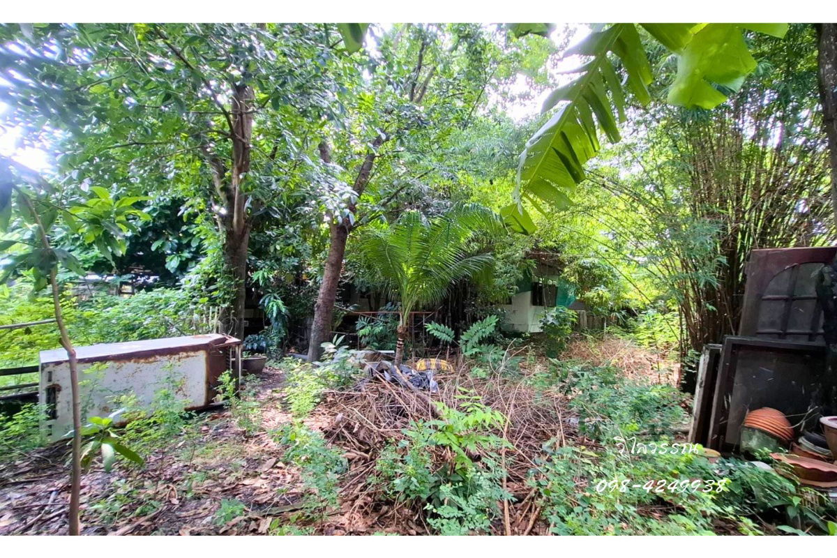 รูป ขายที่ดิน ถมแล้ว ซอยคู้บอน 40 เข้าซอย 240 ม. พร้อมไม้ยืนต้น เขตมีนบุรี กรุงเทพ   - รูปที่ 7/11