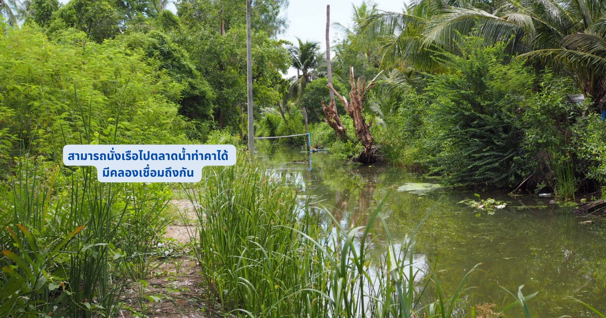 รูป ขายที่ดินใกล้ตลาดน้ำท่าคา 200เมตร แปลงสวยสี่เหลี่ยม หน้าติดถนนหลังติดคลอง - รูปที่ 4/5