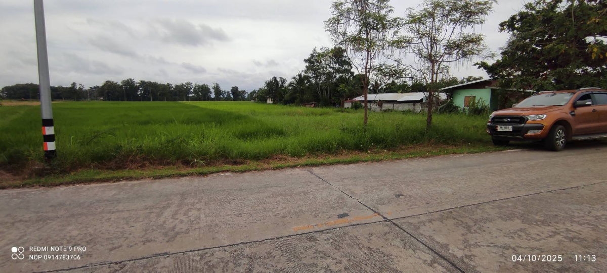 picture pcr2550 land for sale phan-chiang rai - 8/9