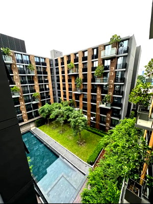 คอนโดให้เช่า : Condo for Rent : Noble Ambience Sukhumvit 42