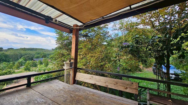 รูป ขายที่ดินพร้อมบ้านสวน 3 ไร่ วิวเขา ห่างถนน 344 บ้านบึง-ชลบุรี เพียง 2 กม.  - รูปที่ 13/14