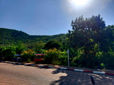 ที่ดิน บางละมุง ชลบุรี : 🌊 โอกาสทองสำหรับนักลงทุน! ที่ดินแปลงสวยบนเกาะล้าน ใกล้หาดตาแหวน เหมาะสร้างพูลวิลล่า-รีสอร์ทสุดหรู 🏝️