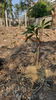 listing thumbnail image 23