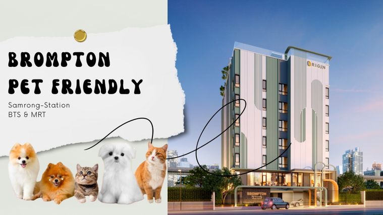 🔥ปล่อยเช่าคอนโดเลี้ยงสัตว์ได้จร้าา🐶😻🐈 Brompton Pet Friendly Samrong-Station 23 ตรม ชั้น 2 @bzproperty