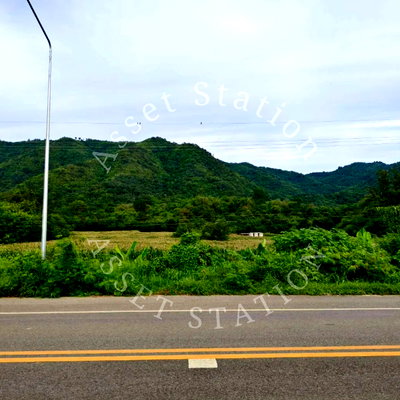 Land for sale Nimit Mai Road : 🌄💥 Hot Deal! Land for sale with mountain views ⛰️ Natural atmosphere 🍃 Na Pa Subdistrict, Phetchabun 💎