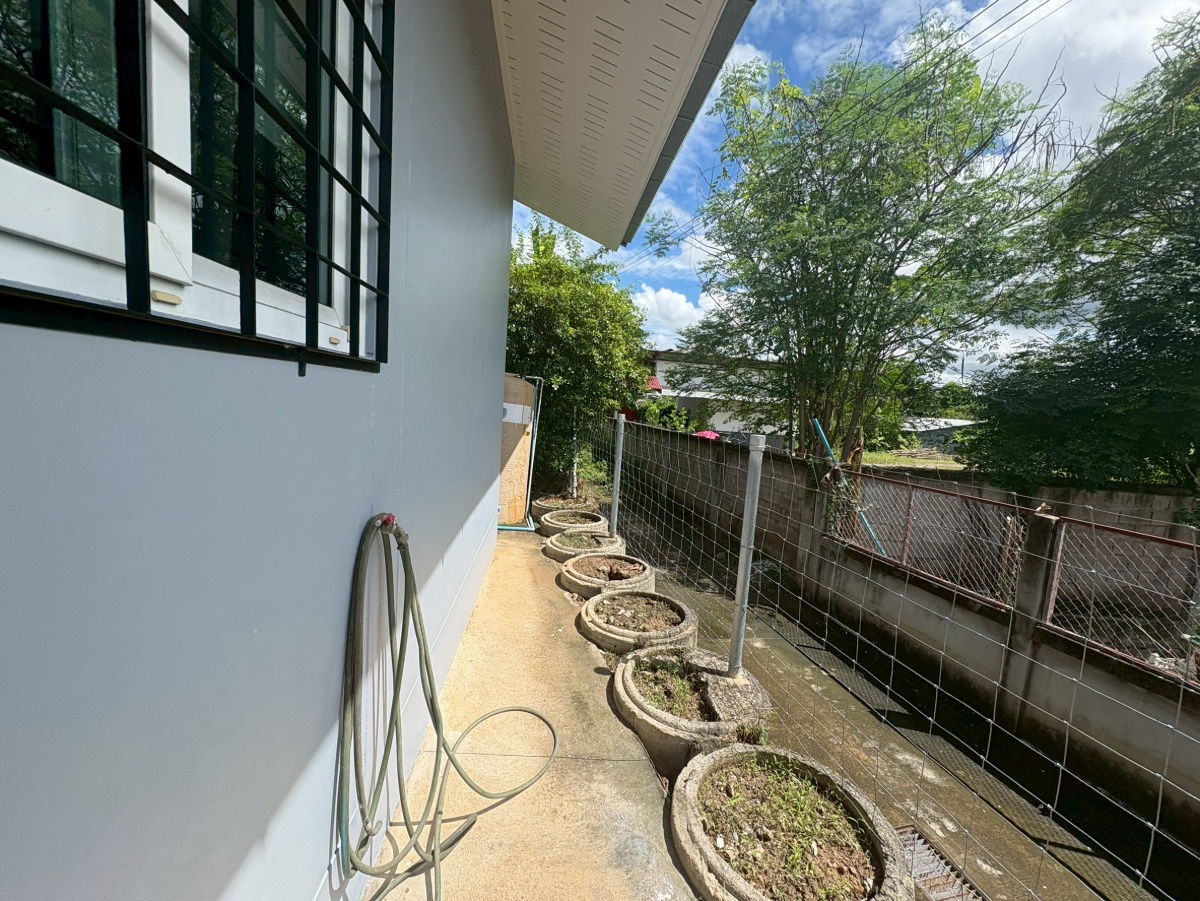 รูป ให้เช่าบ้านเดี่ยวชั้นเดียว   3  ห้องนอน     2  ห้องนำ้  1  ห้องครัว  1 ห้องรับแขก 1 ที่อจดรถ - รูปที่ 16/18