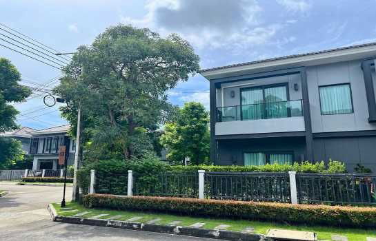 รูป บ้านเดี่ยวให้ เช่า เซนโทร ราชพฤกษ์–แจ้งวัฒนะ ไลน์ไอดี ✅ @ibx7531n - รูปที่ 10/10