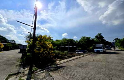 ที่ดิน วิทยาลัยเทคนิคราชสิทธาราม : ขาย ที่ดิน คลองมะเดื่อ กระทุมแบน 0-1-86 ไร่ แปลงสวย เหมาะสร้างอพาร์ทเมนท์