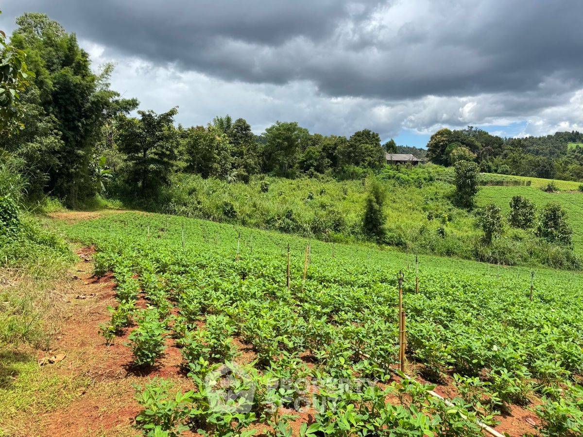 picture 1,176 m² Land for Sale in Thep Sadet (ID 2347990) - 12/23