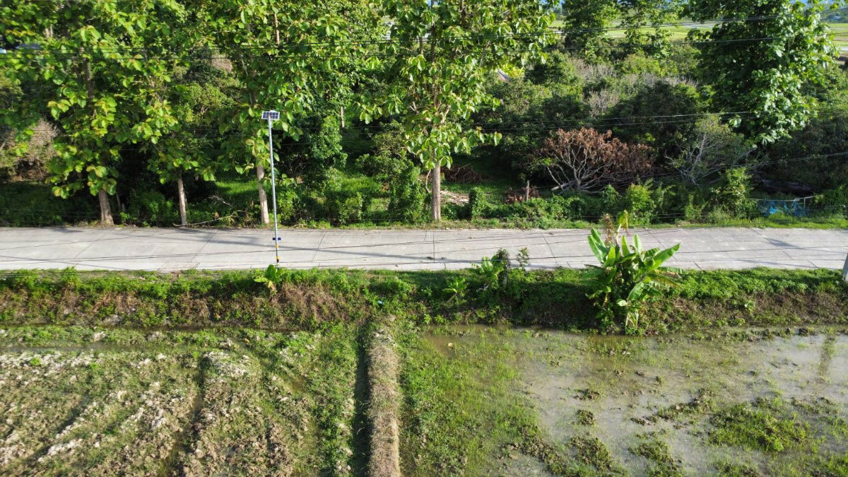 picture pcr2551 Land for sale phan-chiang rai - 3/8