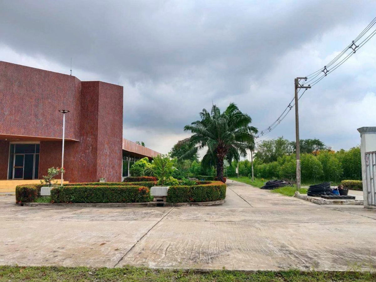 รูป ขายที่ดินผังสีม่วง ถนนพหลโยธิน นวนคร พื้นที่ 110-3-35 ไร่ ต.คลองหนึ่ง อ.คลองหลวง จ.ปทุมธานี - รูปที่ 8/24