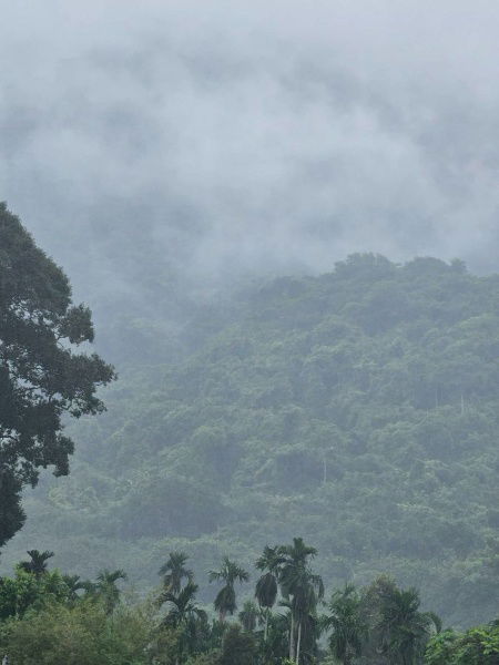 รูป Line id : namkang27 ขายบ้านเดี่ยว เห็นวิวเขาสวยยายดา ขนาด 100 ตรว. ที่ดินพร้อมสิ่งปลูกสร้าง ต.ตะพง อ.เมือง จ.ระยอง   - รูปที่ 5/10