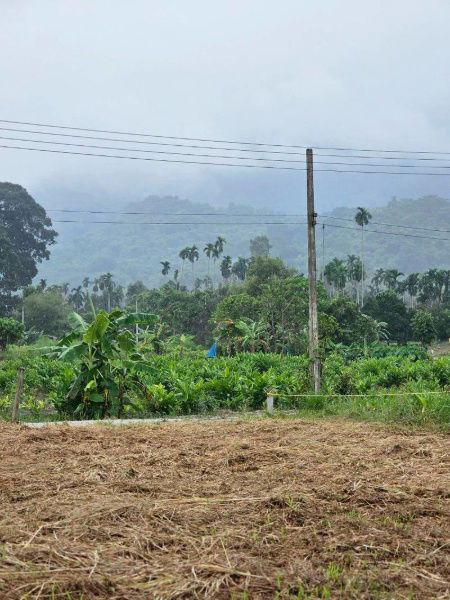 รูป Line id : namkang27 ขายบ้านเดี่ยว เห็นวิวเขาสวยยายดา ขนาด 100 ตรว. ที่ดินพร้อมสิ่งปลูกสร้าง ต.ตะพง อ.เมือง จ.ระยอง   - รูปที่ 4/10