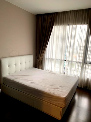 Condos for rent : Condo for rent:  Ivy ampio, ready to move in. If interested, contact Line @goodmanpro or call 0999029192.