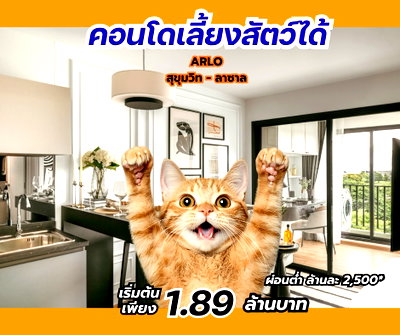 ขายคอนโด : 🦊NEW🦊 คอนโดเลี้ยงสัตว์ได้ พร้อมเข้าอยู่ 💚ราคาพิเศษเปิดโครงการ 1.89 ล้านบาท 💚