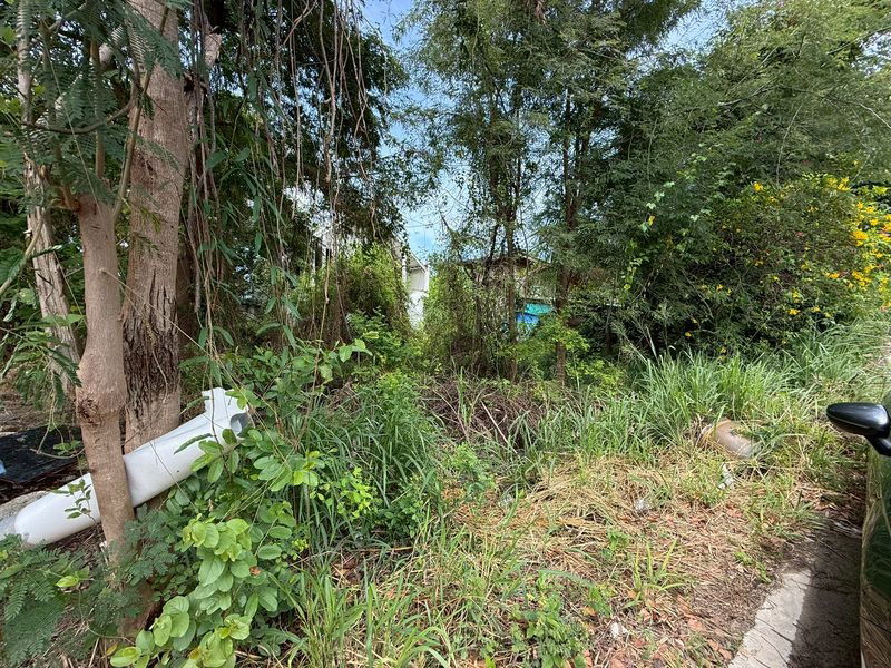 รูป ขายที่ดินแปลงสวย ทำเลดี เขตบางแสน-อ่างศิลา ชลบุรี  - รูปที่ 7/15