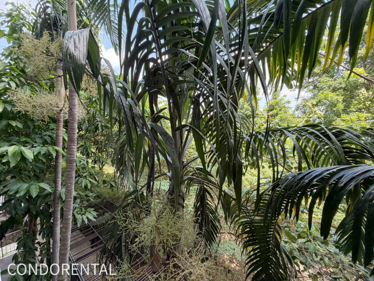 picture @Condorental condo for rent Metro Luxe Riverfront Rattanathibet - 16/20