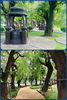 listing thumbnail image 12