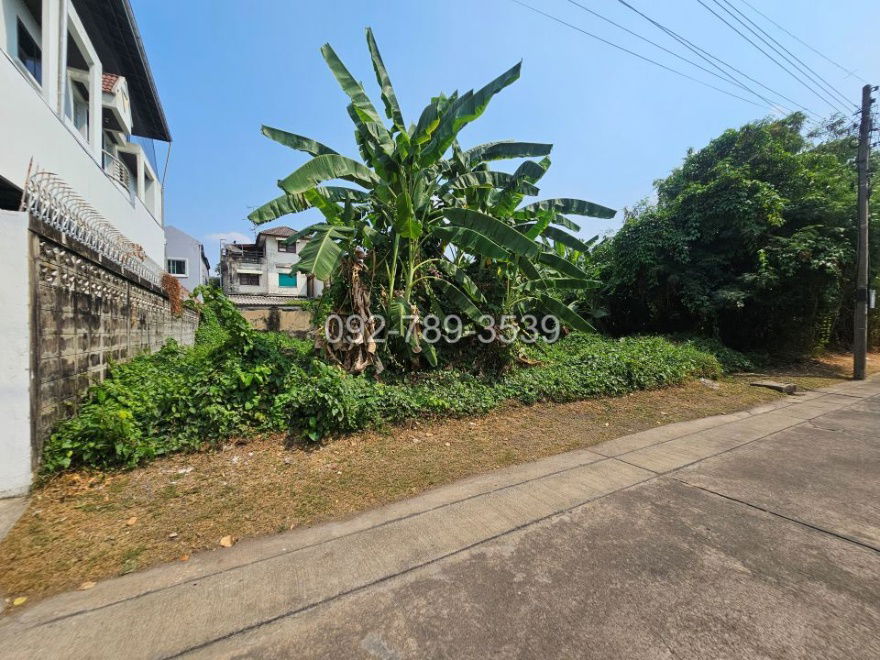 รูป ขายที่ดิน แจ้งวัฒนะ หลักสี่ 100 ตร.วา ใกล้รถไฟฟ้าสายสีชมพู สถานีแจ้งวัฒนะ14 - รูปที่ 14/20