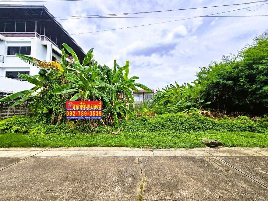 รูป ขายที่ดิน แจ้งวัฒนะ หลักสี่ 100 ตร.วา ใกล้รถไฟฟ้าสายสีชมพู สถานีแจ้งวัฒนะ14 - รูปที่ 1/20