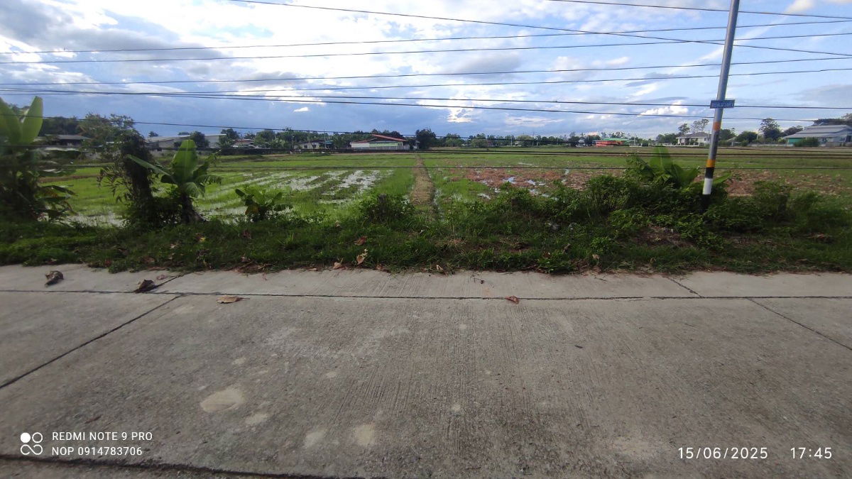 picture pcr2551 Land for sale phan-chiang rai - 8/8