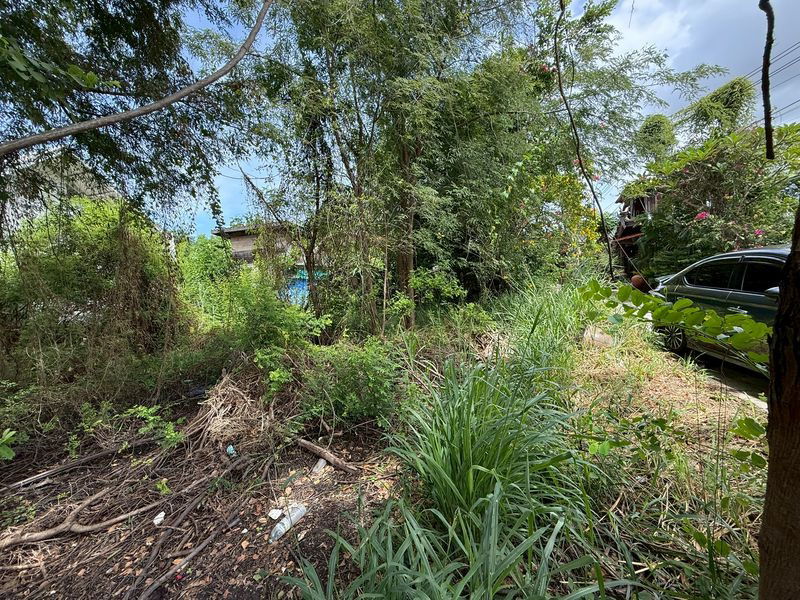 picture Beautiful land plot for sale, good location, Bang Saen-Ang Sila District, Chonburi - 6/15