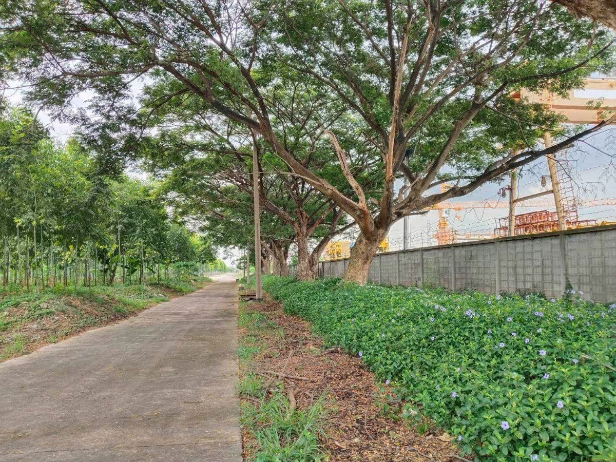 รูป ขายที่ดินผังสีม่วง ถนนพหลโยธิน นวนคร พื้นที่ 110-3-35 ไร่ ต.คลองหนึ่ง อ.คลองหลวง จ.ปทุมธานี - รูปที่ 23/24