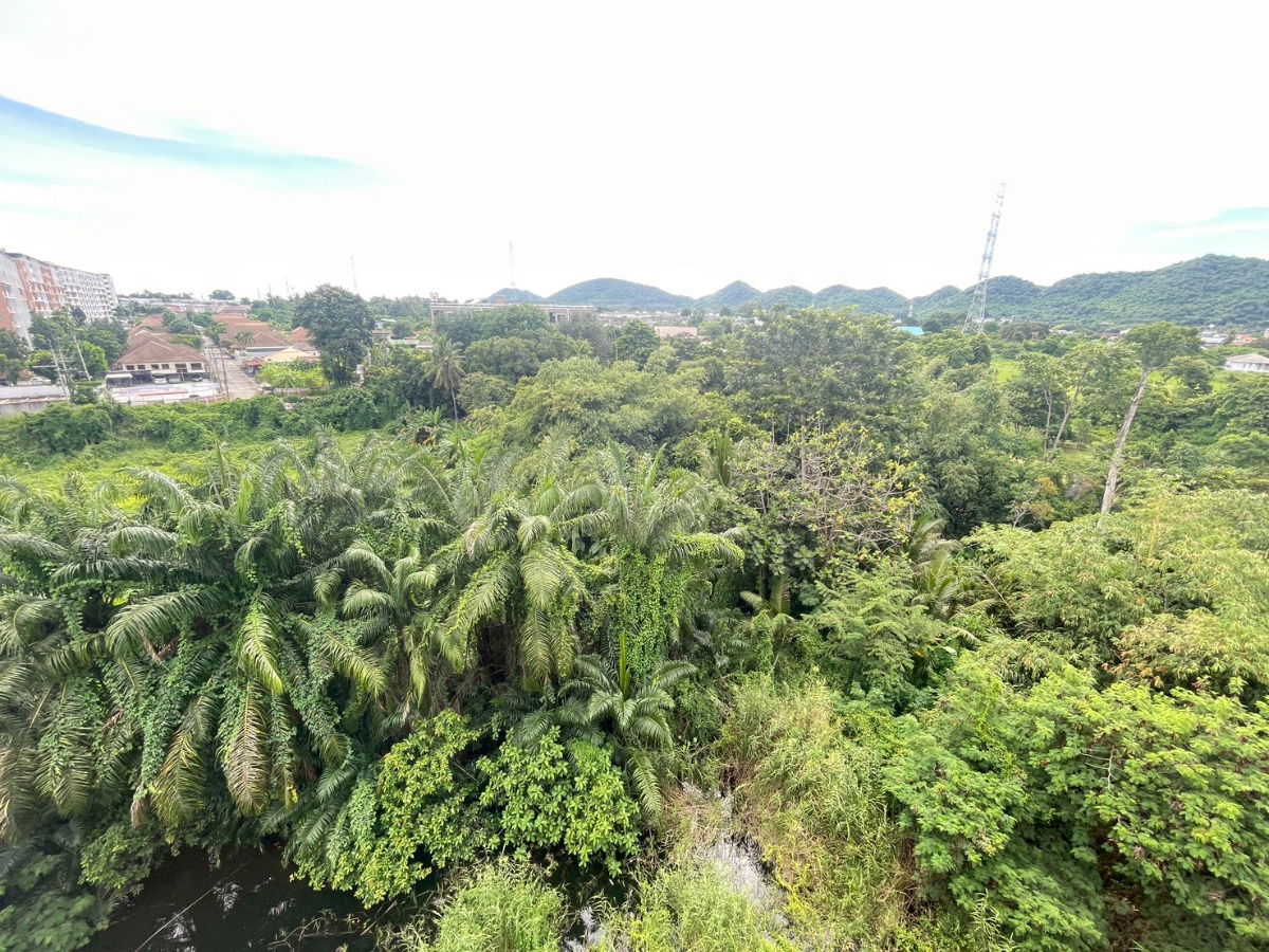 picture For rent Green Lake Condo Sriracha beautiful room with furniture close to the community convenient transportation natural view great atmosphere - 16/16