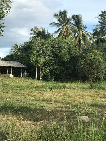 รูป ขายที่ดินวิวธรรมชาติ เจ้าของขายเอง 1 ไร่ 2 งาน ตำบลเขากระปุก อำเภอท่ายาง จังหวัดเพชรบุรี - รูปที่ 1/6