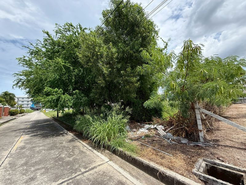 รูป ขายที่ดินชลบุรี เขตชุมชน แปลงสวย ซอยนารถมนตเสวี 26 เสม็ด ชลบุรี - รูปที่ 11/11