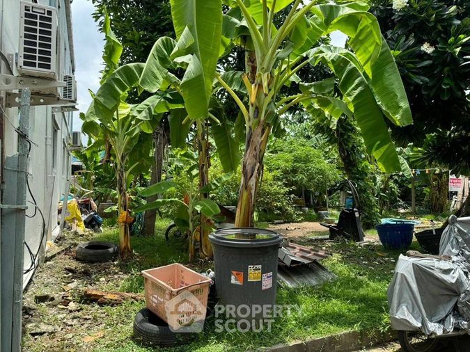 Land for sale, 71 sq wah, Bang Na