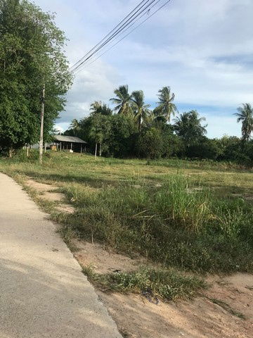 รูป ขายที่ดินวิวธรรมชาติ เจ้าของขายเอง 1 ไร่ 2 งาน ตำบลเขากระปุก อำเภอท่ายาง จังหวัดเพชรบุรี - รูปที่ 4/6